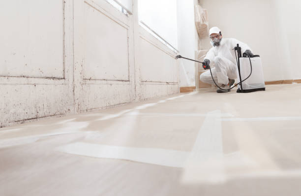 24/7 Emergency Crawl Space Mold Remediation experts in Petersburg, IL